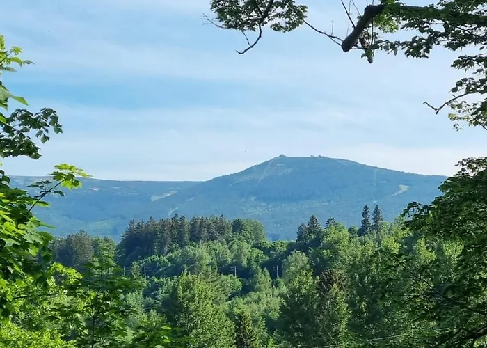 Apartment Swierkowe 1